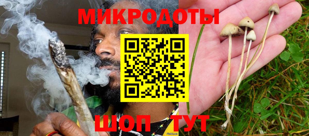 Псилоцибиновые грибы Psilocybe  Вход с VPN  Сокол 