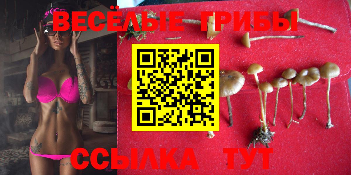 Галлюциногенные грибы мицелий Сокол